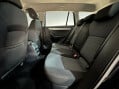 Skoda Octavia SE BUSINESS GREENLINE III TDI 19
