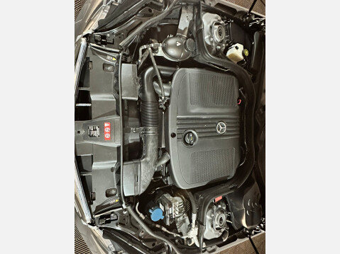 Mercedes-Benz E Class E250 CDI BLUEEFFICIENCY AVANTGARDE 10