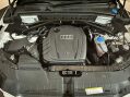 Audi Q5 TDI QUATTRO DPF S LINE 10