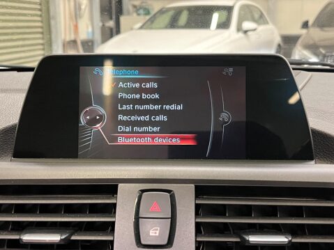 BMW 2 Series 3.0 M240i Auto Euro 6 (s/s) 2dr 32