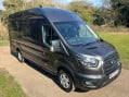 Ford Transit 2.0 350 EcoBlue Limited Panel Van 5dr Diesel Manual RWD L4 H3 Euro 6 (s/s) 48