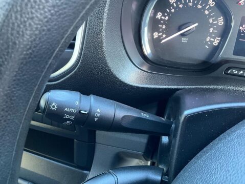 Peugeot Expert 1.6 BLUE HDI PROFESSIONAL STANDARD 115 BHP 32