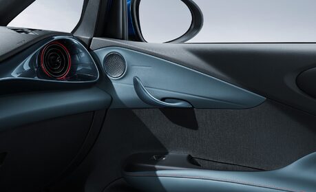 BYD Dolphin's Door handle