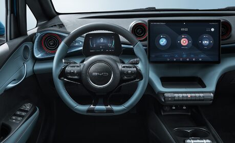 BYD Dolphin's Centre Console