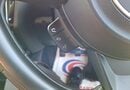 Suzuki Swift 1.2 Dualjet 83 12V Hybrid SZ-T 5dr 27