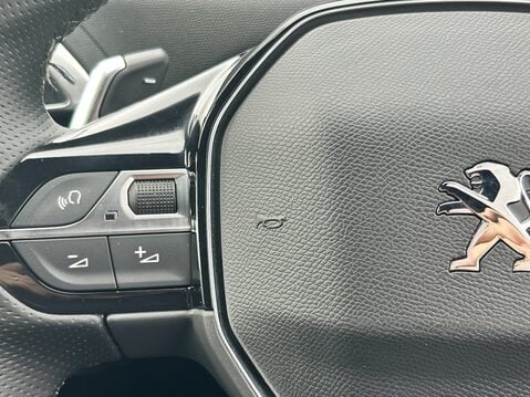 Peugeot 3008 1.5 BlueHDi GT Premium 5dr EAT8 28