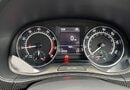 Skoda Fabia 1.0 TSI 110 Monte Carlo 5dr 17