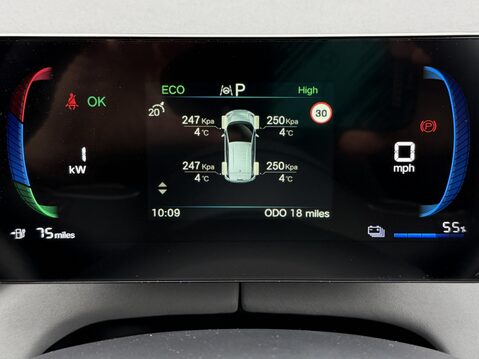 BYD Dolphin Surf 65kW Active 30kWh 5dr Auto 19