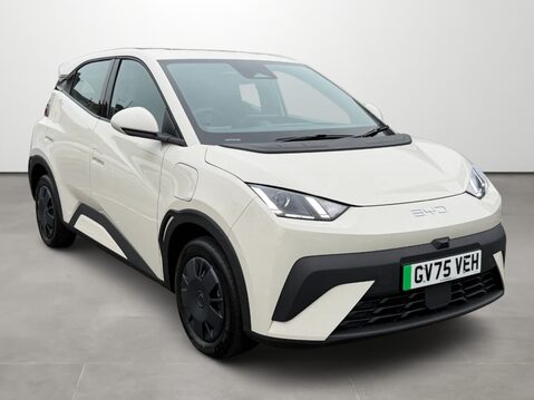 BYD Dolphin Surf 65kW Active 30kWh 5dr Auto 1