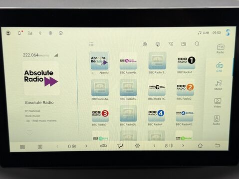 BYD Dolphin Surf 65kW Boost 43kWh 5dr Auto 21