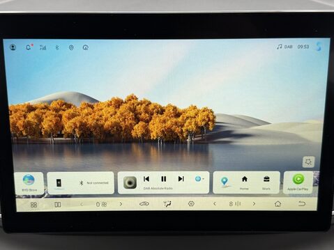 BYD Dolphin Surf 65kW Boost 43kWh 5dr Auto 20