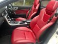 Mercedes-Benz SLK AMG SPORT BLUE EFFICIENCY ***STUNNING SLK WITH FSH*** 9