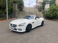 Mercedes-Benz SLK AMG SPORT BLUE EFFICIENCY ***STUNNING SLK WITH FSH*** 21