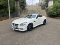 Mercedes-Benz SLK AMG SPORT BLUE EFFICIENCY ***STUNNING SLK WITH FSH*** 23
