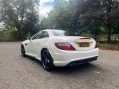 Mercedes-Benz SLK AMG SPORT BLUE EFFICIENCY ***STUNNING SLK WITH FSH*** 29