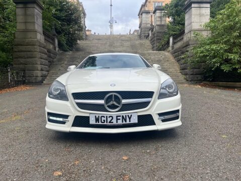 Mercedes-Benz SLK AMG SPORT BLUE EFFICIENCY ***STUNNING SLK WITH FSH*** 30