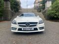 Mercedes-Benz SLK AMG SPORT BLUE EFFICIENCY ***STUNNING SLK WITH FSH*** 30