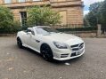 Mercedes-Benz SLK AMG SPORT BLUE EFFICIENCY ***STUNNING SLK WITH FSH*** 35