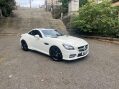 Mercedes-Benz SLK AMG SPORT BLUE EFFICIENCY ***STUNNING SLK WITH FSH*** 38