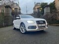 Audi SQ5 3.0 BiTDI V6 SUV 5dr Diesel Tiptronic quattro Euro 6 (s/s) (313 ps) STUNNIN 32