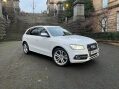 Audi SQ5 3.0 BiTDI V6 SUV 5dr Diesel Tiptronic quattro Euro 6 (s/s) (313 ps) STUNNIN 30