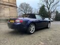 Mazda MX-5 1.8 I SE 2d 125 BHP CONVERTIBLE 8