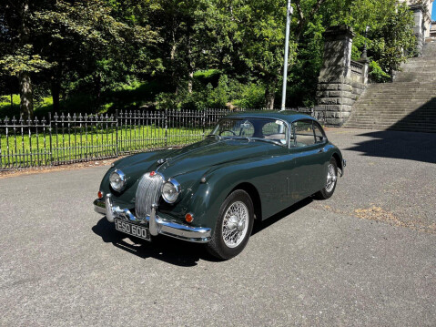 Jaguar XK 12