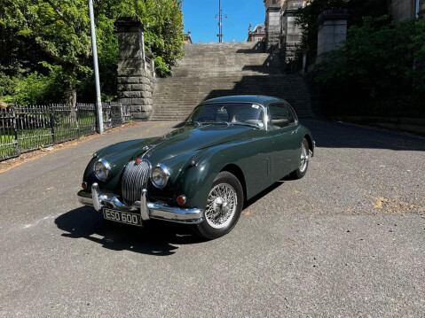 Jaguar XK 25