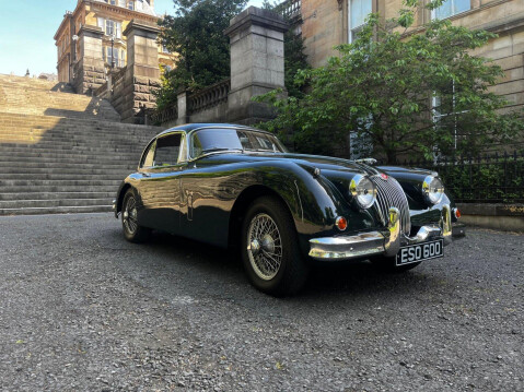 Jaguar XK 31