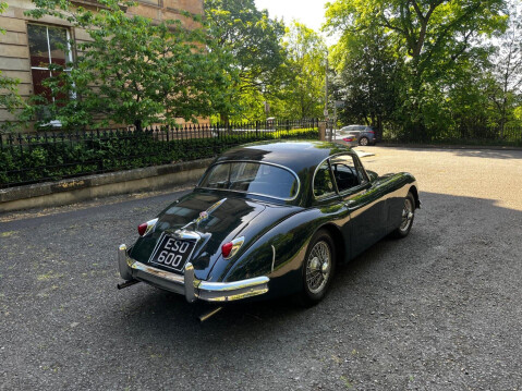 Jaguar XK 36