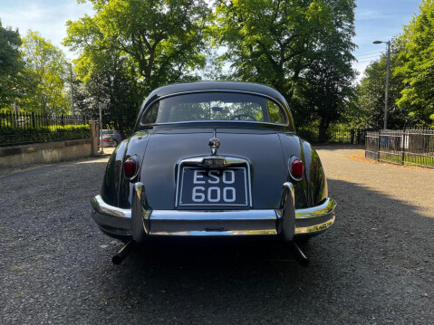 Jaguar XK 37