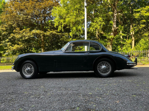Jaguar XK 41