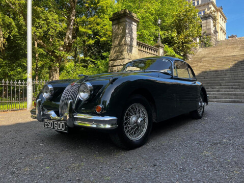Jaguar XK 43