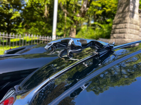 Jaguar XK 50