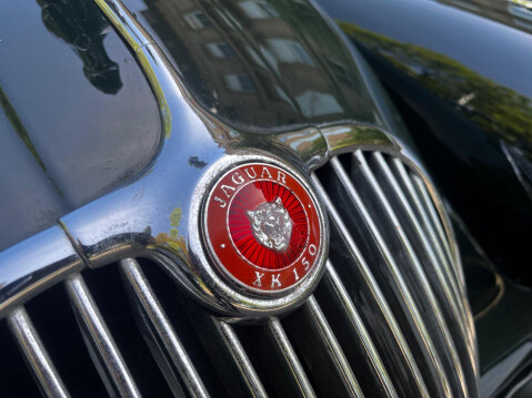 Jaguar XK 51