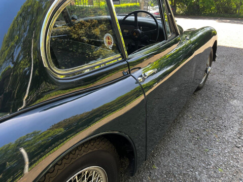 Jaguar XK 53