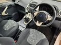 Ford Ka EDGE 8