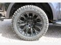 Ford Ranger 2.0 Ranger Wildtrak EcoBlue 4x4 Auto 4WD 23