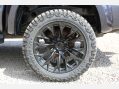 Ford Ranger 2.0 Ranger Wildtrak EcoBlue 4x4 Auto 4WD 24