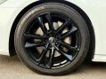 Audi A7 3.0 TDI V6 50 Black Edition Sportback Tiptronic quattro Euro 6 (s/s) 5dr 43