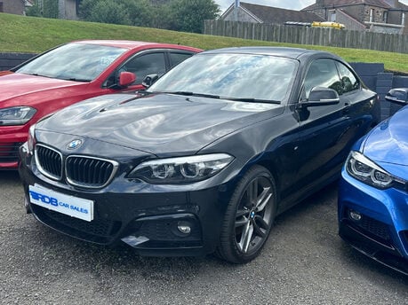 BMW 2 Series 2.0 220D xDrive M Sport Auto 4WD 2dr