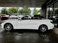Mercedes-Benz E Class 2.1 E220 BlueTEC AMG Line Cabriolet G-Tronic+ Euro 6 (s/s) 2dr 15