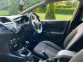 Ford Fiesta 1.0T EcoBoost Titanium Euro 5 (s/s) 5dr 19