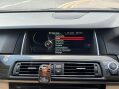 BMW 5 Series 2.0 525d Luxury Auto Euro 6 (s/s) 4dr 29