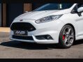 Ford Fiesta ST-3 19