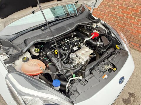 Ford Fiesta 1.0T EcoBoost ST-Line Euro 6 (s/s) 3dr 41