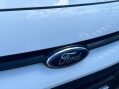 Ford Transit Connect 1.5 TDCi 210 Trend Panel Van 5dr Diesel Manual L2 H1 (124 g/km, 99 bhp) LOW 9