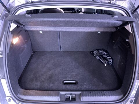 Renault Captur 1.6 E-TECH techno SUV 5dr Petrol Hybrid Auto Euro 6 (s/s) (145 ps) Cruise 13