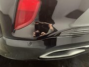 Ford Puma 1.0T EcoBoost MHEV ST-Line Vignale SUV 5dr Petrol DCT Euro 6 (s/s) (155 ps) 14