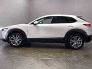 Mazda CX-30 2.0 SKYACTIV-G MHEV Sport Lux SUV 5dr Petrol Manual Euro 6 (s/s) (122 ps) P 5